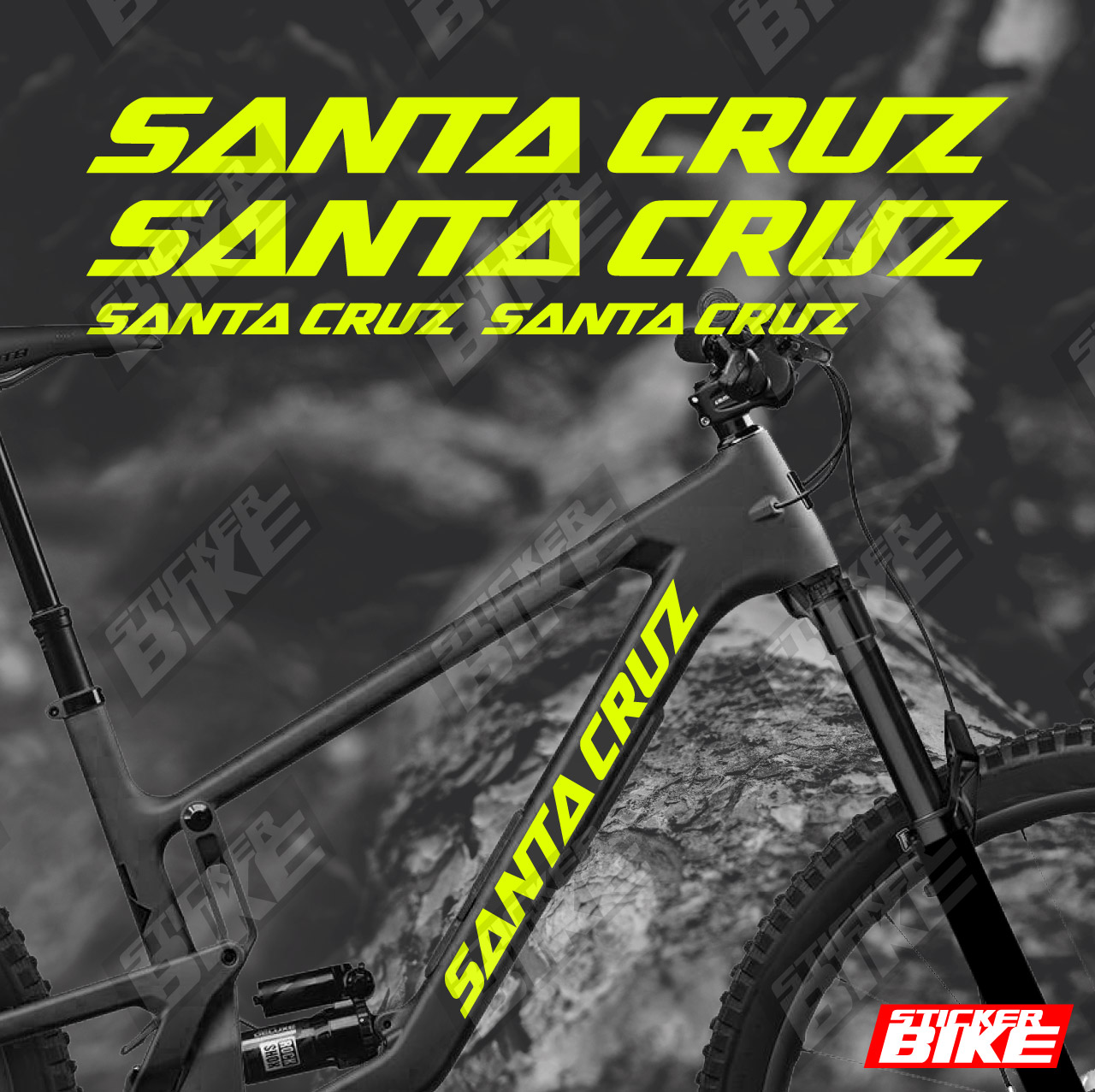 Santa Cruz basic