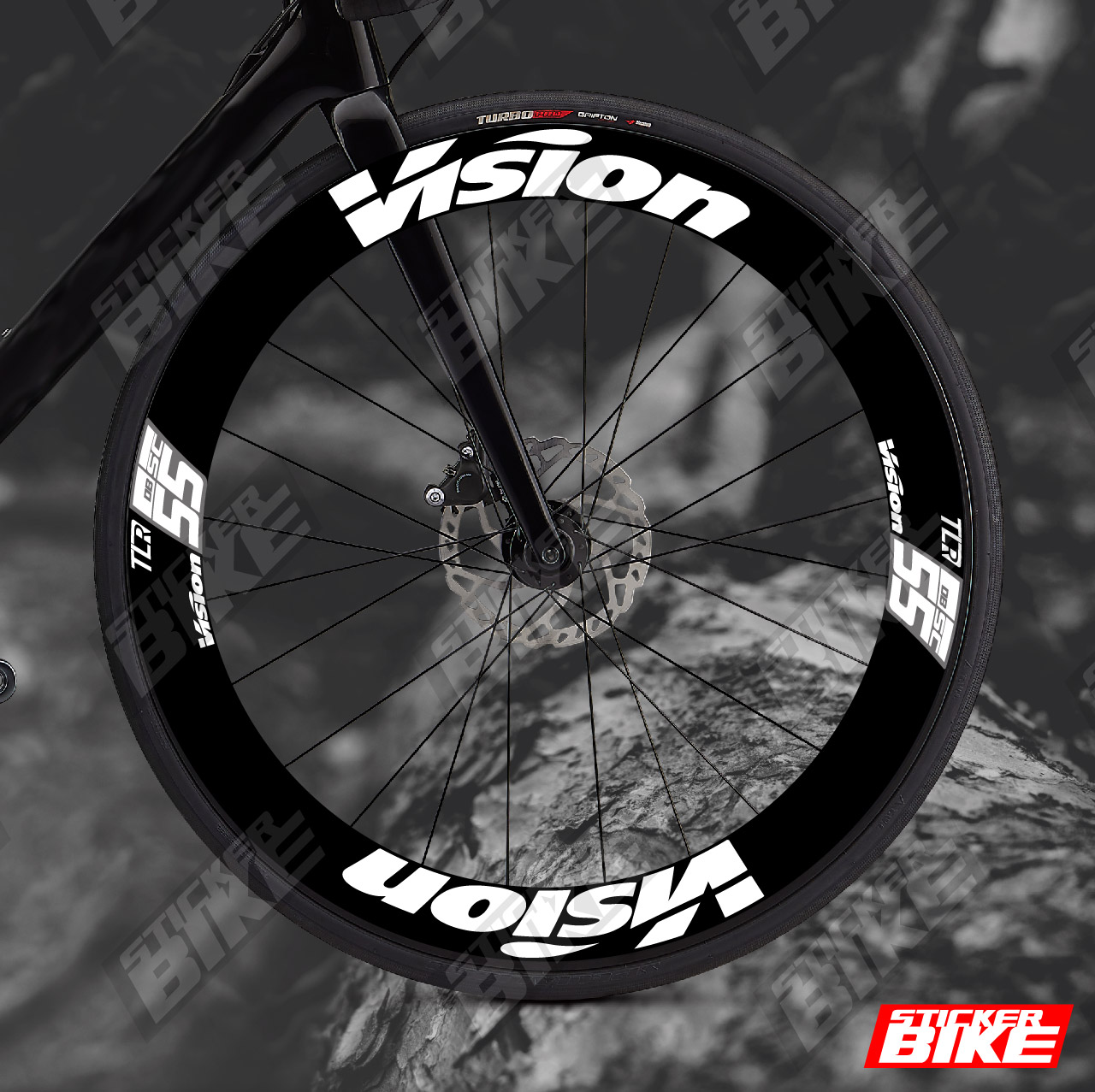 Vision TLR SC 55 Disc