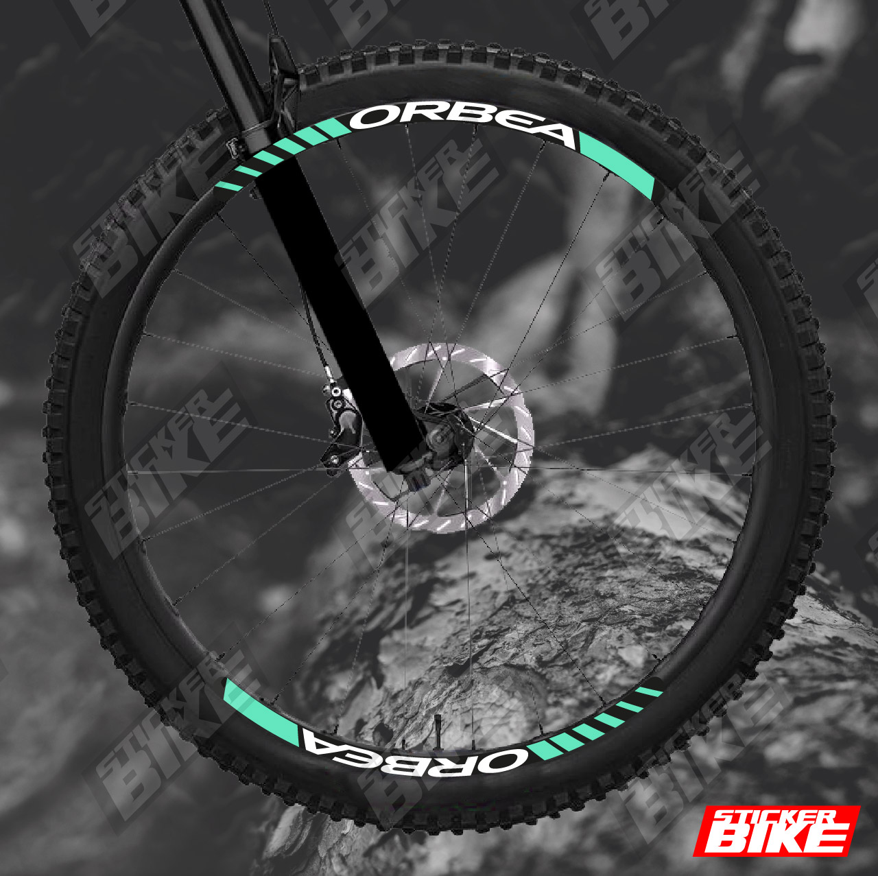 Orbea Wheels