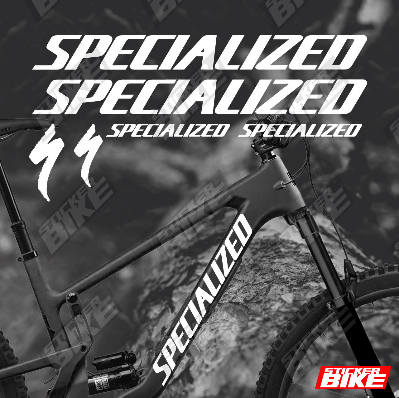 Specialized Basic